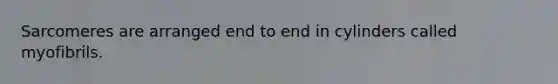 Sarcomeres are arranged end to end in cylinders called myofibrils.