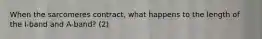 When the sarcomeres contract, what happens to the length of the I-band and A-band? (2)