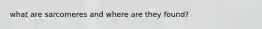 what are sarcomeres and where are they found?