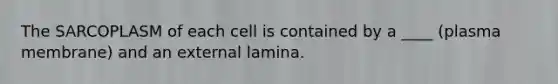 The SARCOPLASM of each cell is contained by a ____ (plasma membrane) and an external lamina.