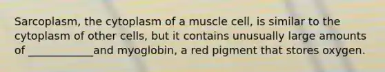 Sarcoplasm, the cytoplasm of a muscle cell, is similar to the cytoplasm of other cells, but it contains unusually large amounts of ____________and myoglobin, a red pigment that stores oxygen.