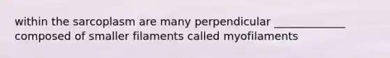 within the sarcoplasm are many perpendicular _____________ composed of smaller filaments called myofilaments