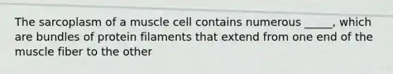 The sarcoplasm of a muscle cell contains numerous _____, which are bundles of protein filaments that extend from one end of the muscle fiber to the other