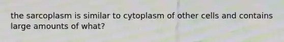 the sarcoplasm is similar to cytoplasm of other cells and contains large amounts of what?