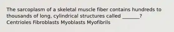 The sarcoplasm of a skeletal muscle fiber contains hundreds to thousands of long, cylindrical structures called _______? Centrioles Fibroblasts Myoblasts Myofibrils