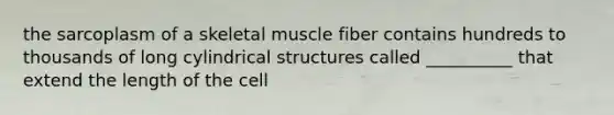 the sarcoplasm of a skeletal muscle fiber contains hundreds to thousands of long cylindrical structures called __________ that extend the length of the cell