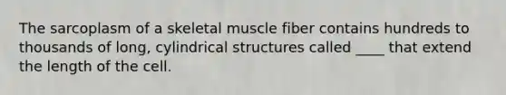 The sarcoplasm of a skeletal muscle fiber contains hundreds to thousands of long, cylindrical structures called ____ that extend the length of the cell.