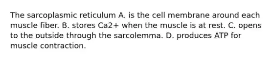 The sarcoplasmic reticulum A. is the cell membrane around each muscle fiber. B. stores Ca2+ when the muscle is at rest. C. opens to the outside through the sarcolemma. D. produces ATP for <a href='https://www.questionai.com/knowledge/k0LBwLeEer-muscle-contraction' class='anchor-knowledge'>muscle contraction</a>.