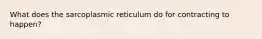 What does the sarcoplasmic reticulum do for contracting to happen?