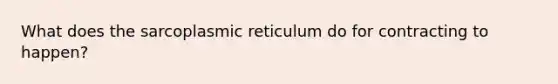 What does the sarcoplasmic reticulum do for contracting to happen?