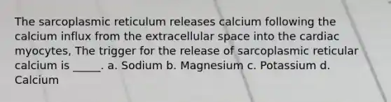 The sarcoplasmic reticulum releases calcium following the calcium influx from the extracellular space into the cardiac myocytes, The trigger for the release of sarcoplasmic reticular calcium is _____. a. Sodium b. Magnesium c. Potassium d. Calcium