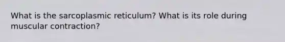 What is the sarcoplasmic reticulum? What is its role during muscular contraction?