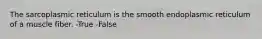 The sarcoplasmic reticulum is the smooth endoplasmic reticulum of a muscle fiber. -True -False