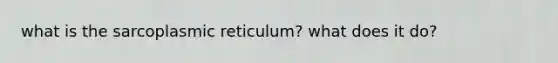 what is the sarcoplasmic reticulum? what does it do?