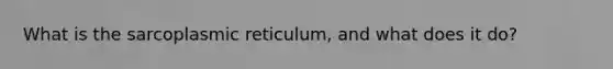 What is the sarcoplasmic reticulum, and what does it do?