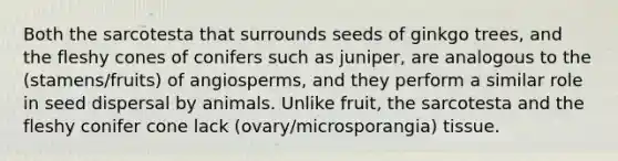 Both the sarcotesta that surrounds seeds of ginkgo trees, and the fleshy cones of conifers such as juniper, are analogous to the (stamens/fruits) of angiosperms, and they perform a similar role in seed dispersal by animals. Unlike fruit, the sarcotesta and the fleshy conifer cone lack (ovary/microsporangia) tissue.