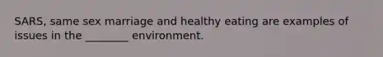 SARS, same sex marriage and healthy eating are examples of issues in the ________ environment.