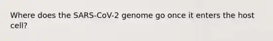 Where does the SARS-CoV-2 genome go once it enters the host cell?