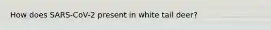 How does SARS-CoV-2 present in white tail deer?
