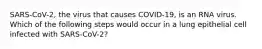 SARS-CoV-2, the virus that causes COVID-19, is an RNA virus. Which of the following steps would occur in a lung epithelial cell infected with SARS-CoV-2?