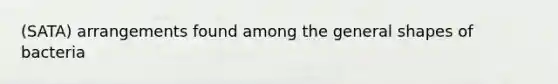 (SATA) arrangements found among the general shapes of bacteria