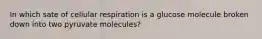 In which sate of cellular respiration is a glucose molecule broken down into two pyruvate molecules?