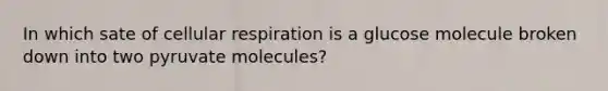 In which sate of cellular respiration is a glucose molecule broken down into two pyruvate molecules?