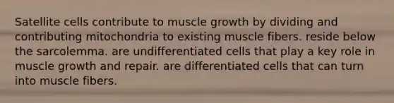 Satellite cells contribute to muscle growth by dividing and contributing mitochondria to existing muscle fibers. reside below the sarcolemma. are undifferentiated cells that play a key role in muscle growth and repair. are differentiated cells that can turn into muscle fibers.