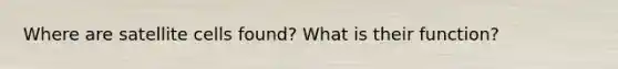 Where are satellite cells found? What is their function?