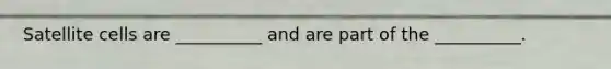 Satellite cells are __________ and are part of the __________.