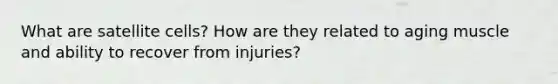 What are satellite cells? How are they related to aging muscle and ability to recover from injuries?