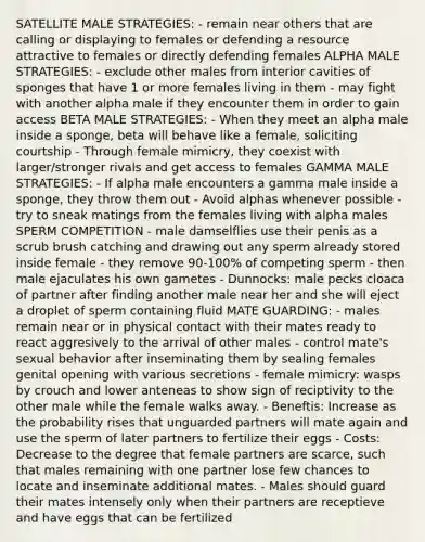 SATELLITE MALE STRATEGIES: - remain near others that are calling or displaying to females or defending a resource attractive to females or directly defending females ALPHA MALE STRATEGIES: - exclude other males from interior cavities of sponges that have 1 or more females living in them - may fight with another alpha male if they encounter them in order to gain access BETA MALE STRATEGIES: - When they meet an alpha male inside a sponge, beta will behave like a female, soliciting courtship - Through female mimicry, they coexist with larger/stronger rivals and get access to females GAMMA MALE STRATEGIES: - If alpha male encounters a gamma male inside a sponge, they throw them out - Avoid alphas whenever possible - try to sneak matings from the females living with alpha males SPERM COMPETITION - male damselflies use their penis as a scrub brush catching and drawing out any sperm already stored inside female - they remove 90-100% of competing sperm - then male ejaculates his own gametes - Dunnocks: male pecks cloaca of partner after finding another male near her and she will eject a droplet of sperm containing fluid MATE GUARDING: - males remain near or in physical contact with their mates ready to react aggresively to the arrival of other males - control mate's sexual behavior after inseminating them by sealing females genital opening with various secretions - female mimicry: wasps by crouch and lower anteneas to show sign of reciptivity to the other male while the female walks away. - Beneftis: Increase as the probability rises that unguarded partners will mate again and use the sperm of later partners to fertilize their eggs - Costs: Decrease to the degree that female partners are scarce, such that males remaining with one partner lose few chances to locate and inseminate additional mates. - Males should guard their mates intensely only when their partners are receptieve and have eggs that can be fertilized