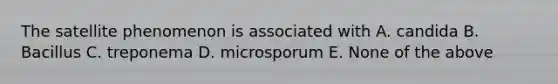 The satellite phenomenon is associated with A. candida B. Bacillus C. treponema D. microsporum E. None of the above