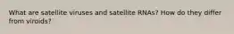 What are satellite viruses and satellite RNAs? How do they differ from viroids?