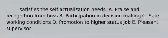 _____ satisfies the self-actualization needs. A. Praise and recognition from boss B. Participation in decision making C. Safe working conditions D. Promotion to higher status job E. Pleasant supervisor