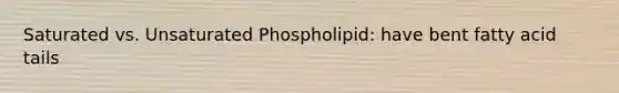 Saturated vs. Unsaturated Phospholipid: have bent fatty acid tails