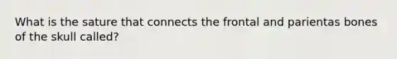 What is the sature that connects the frontal and parientas bones of the skull called?