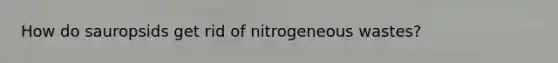 How do sauropsids get rid of nitrogeneous wastes?