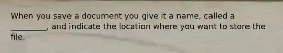 When you save a document you give it a name, called a _________, and indicate the location where you want to store the file.