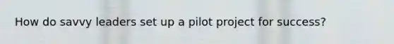 How do savvy leaders set up a pilot project for success?