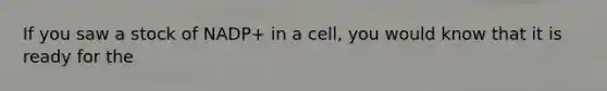 If you saw a stock of NADP+ in a cell, you would know that it is ready for the