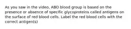 As you saw in the video, ABO blood group is based on the presence or absence of specific glycoproteins called antigens on the surface of red blood cells. Label the red blood cells with the correct antigen(s)