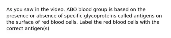 As you saw in the video, ABO blood group is based on the presence or absence of specific glycoproteins called antigens on the surface of red blood cells. Label the red blood cells with the correct antigen(s)