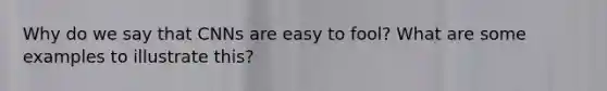 Why do we say that CNNs are easy to fool? What are some examples to illustrate this?