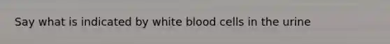 Say what is indicated by white blood cells in the urine