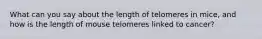 What can you say about the length of telomeres in mice, and how is the length of mouse telomeres linked to cancer?