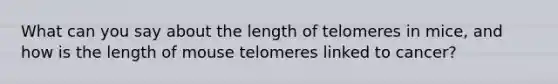 What can you say about the length of telomeres in mice, and how is the length of mouse telomeres linked to cancer?