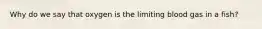Why do we say that oxygen is the limiting blood gas in a fish?