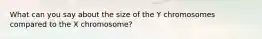 What can you say about the size of the Y chromosomes compared to the X chromosome?