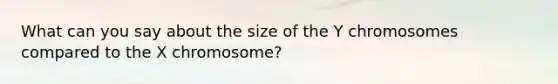 What can you say about the size of the Y chromosomes compared to the X chromosome?